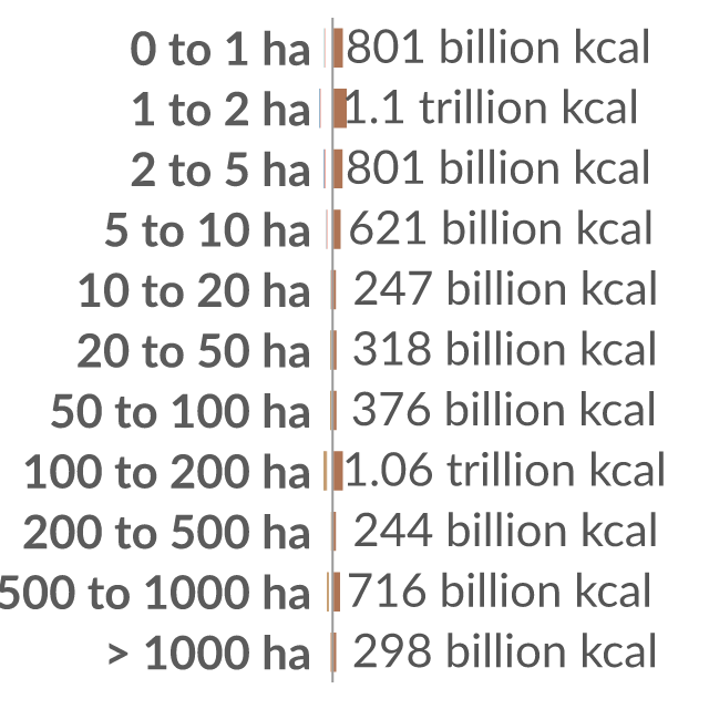 Data visualization: Global crop production by farm size