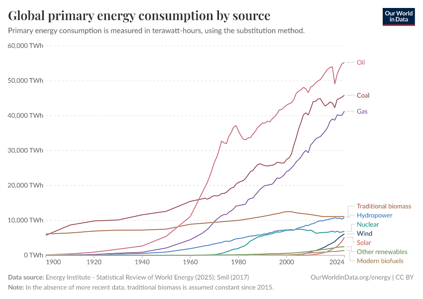 Global primary energy consumption by source