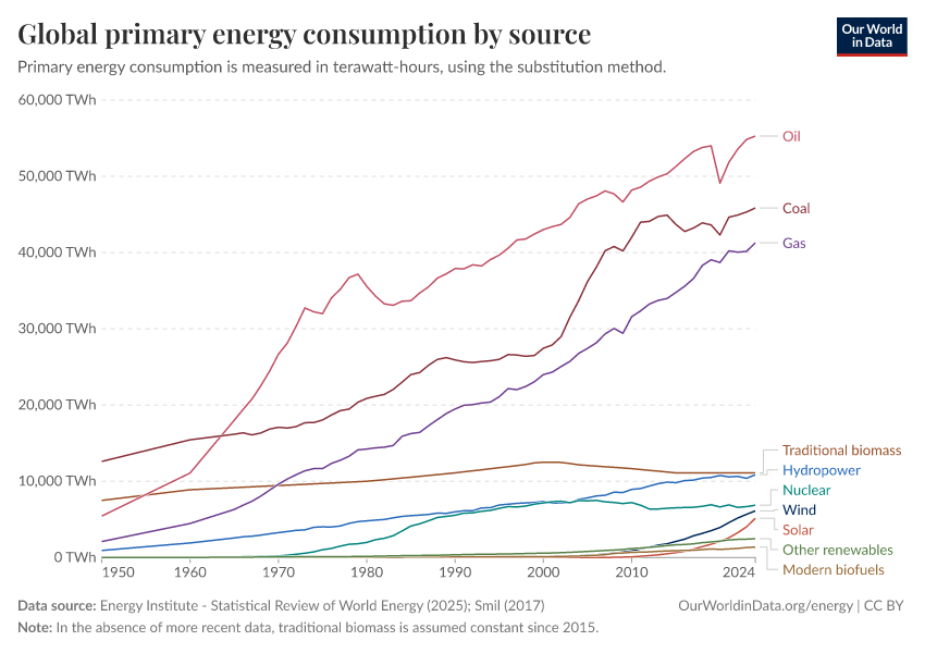 Global primary energy consumption by source