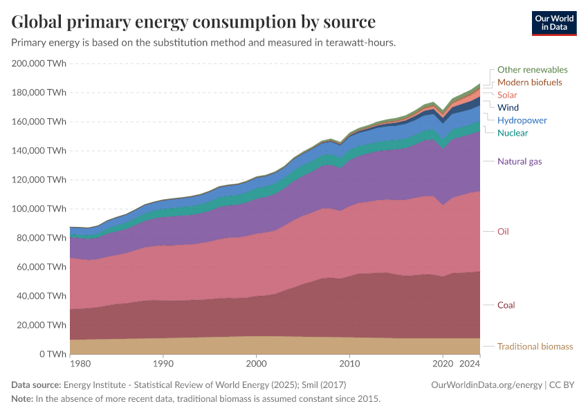 Global primary energy consumption by source