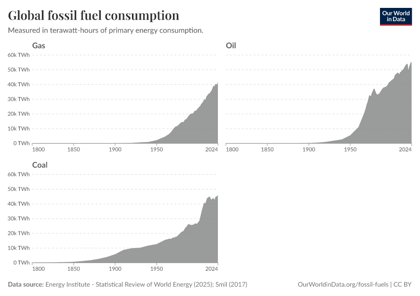 Global fossil fuel consumption