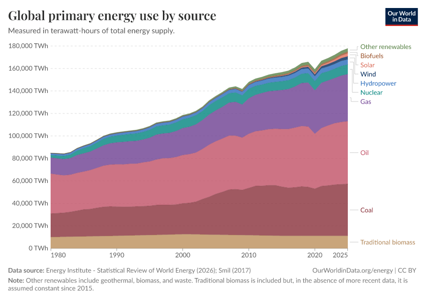 Global primary energy use by source