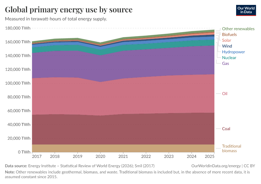 Global primary energy use by source