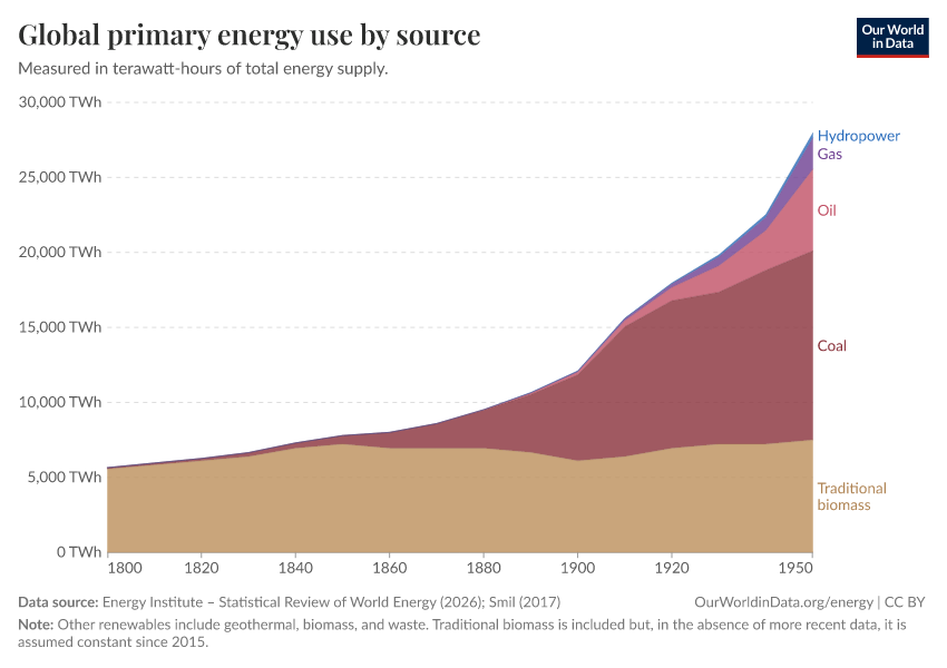 Global primary energy use by source