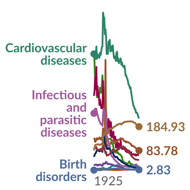 Data visualization: Death rates from different causes in France over the 20th century