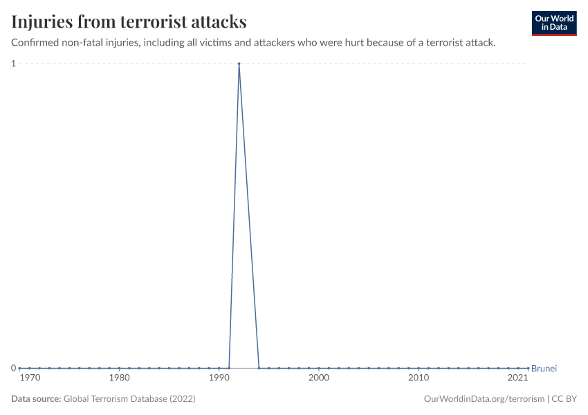 Injuries from terrorist attacks