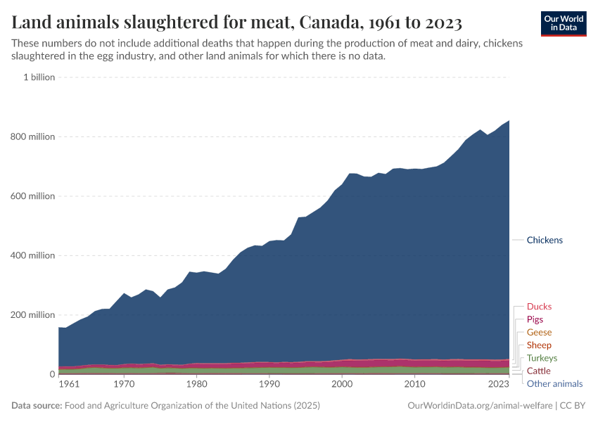Land animals slaughtered for meat