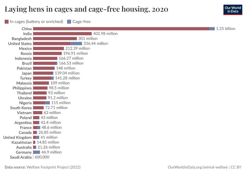 Laying hens in cages and cage-free housing