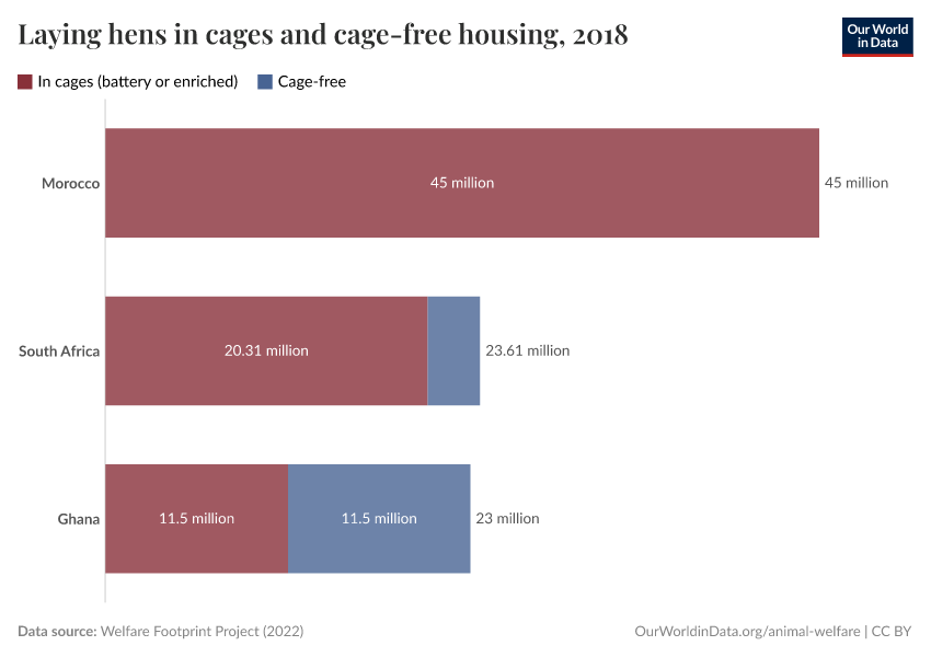 Laying hens in cages and cage-free housing
