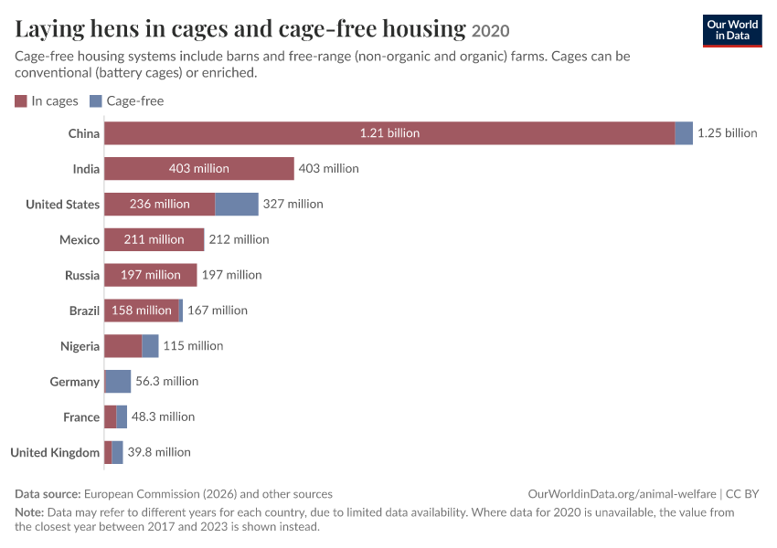 Laying hens in cages and cage-free housing