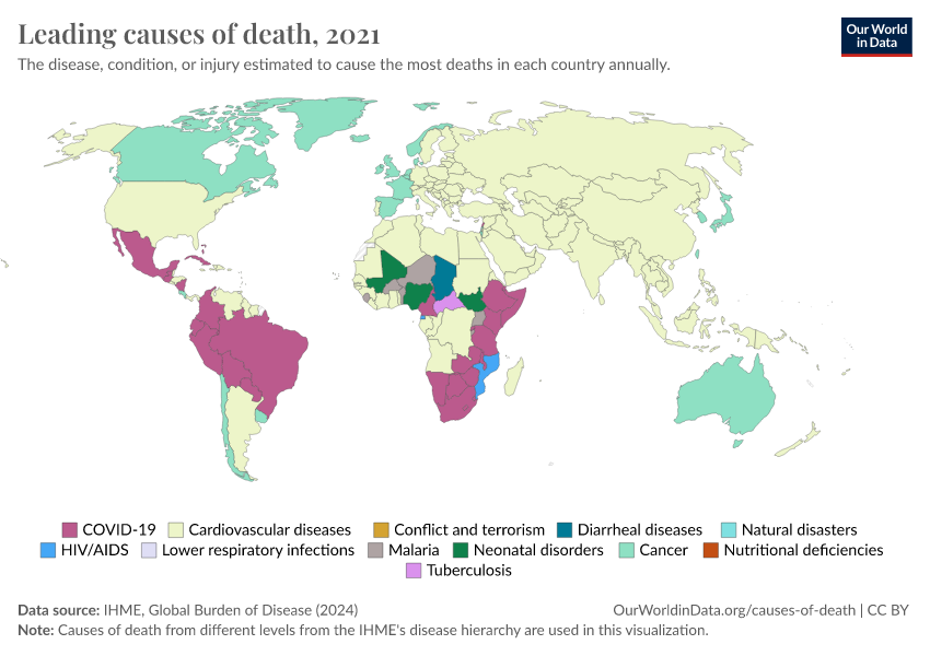 A thumbnail of the "Leading causes of death" chart