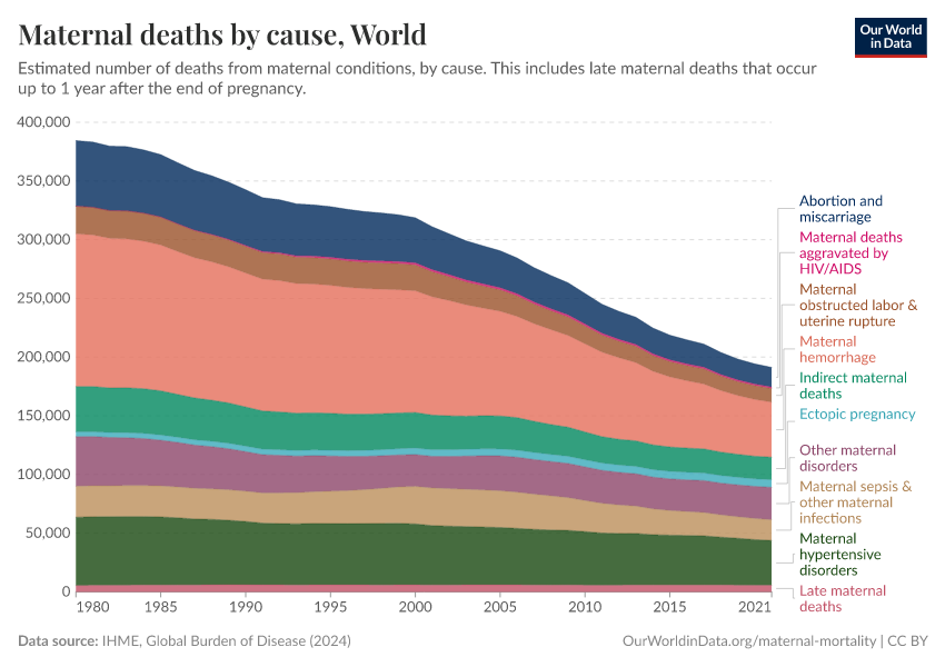 A thumbnail of the "Maternal deaths by cause" chart