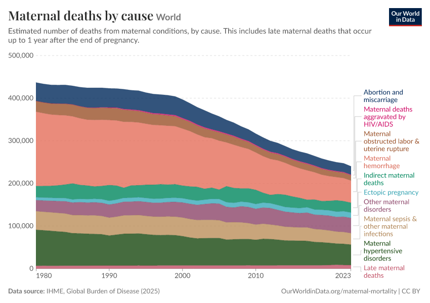 Maternal deaths by cause