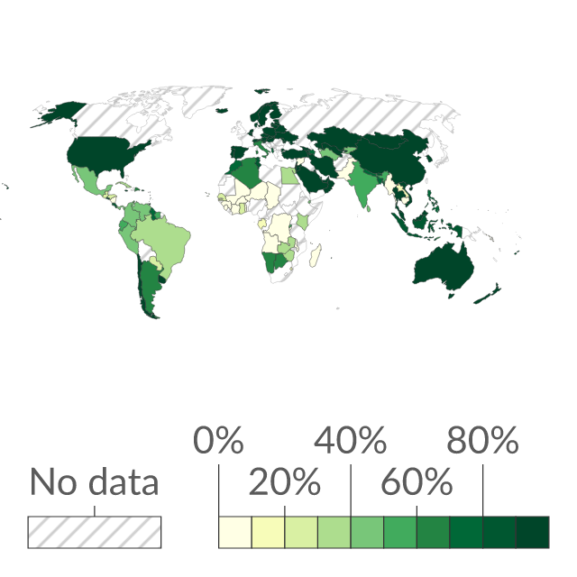 Preview of Share of primary schools with access to the Internet for teaching