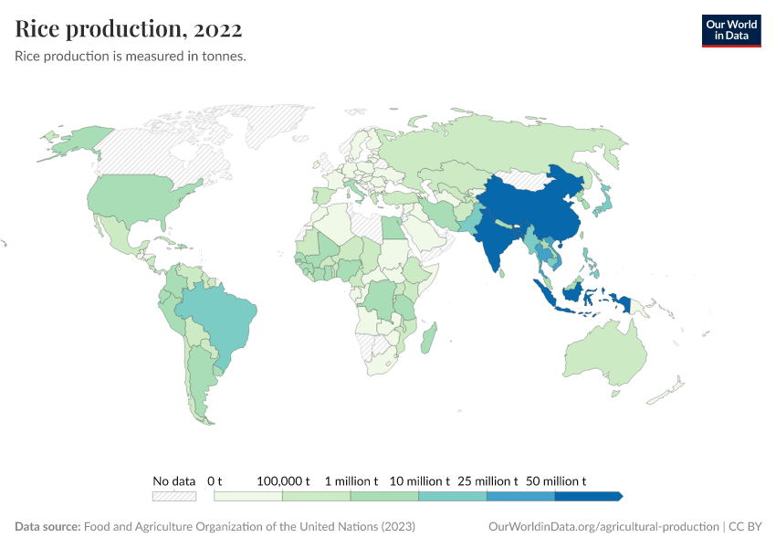 A thumbnail of the "Rice production" chart