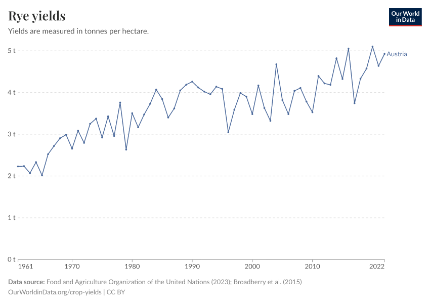 Rye yields