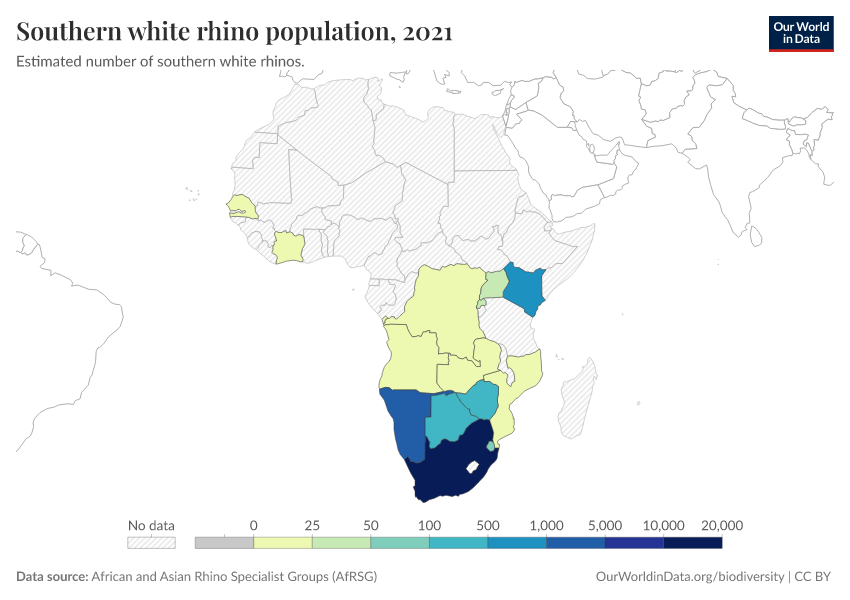 Southern white rhino population