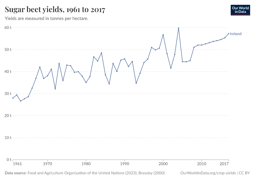 Sugar beet yields