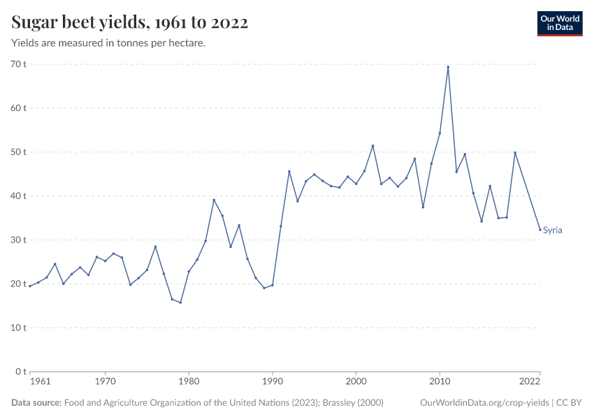 Sugar beet yields