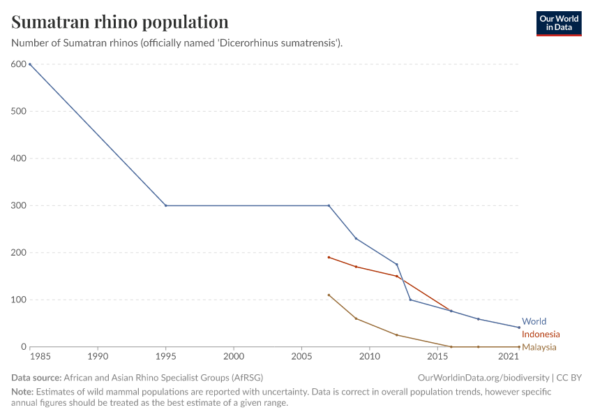 Sumatran rhino population