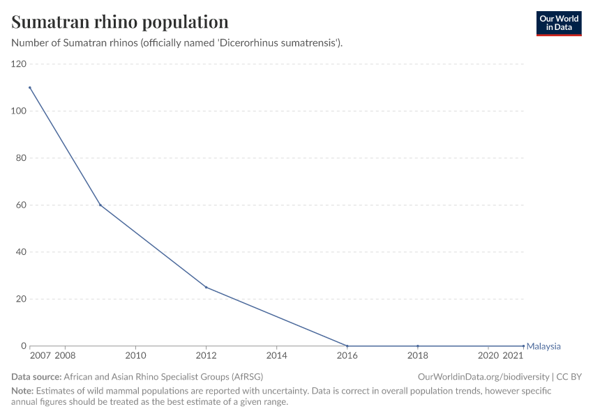 Sumatran rhino population