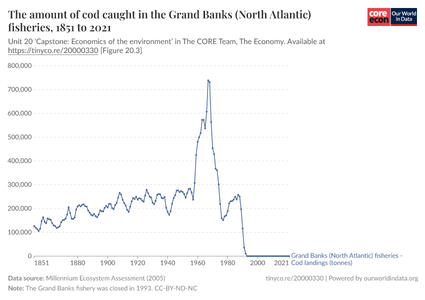 The amount of cod caught in the Grand Banks (North Atlantic) fisheries