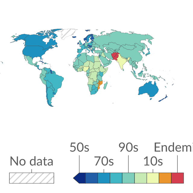 Data visualization: The decade of the last recorded wild paralytic polio case