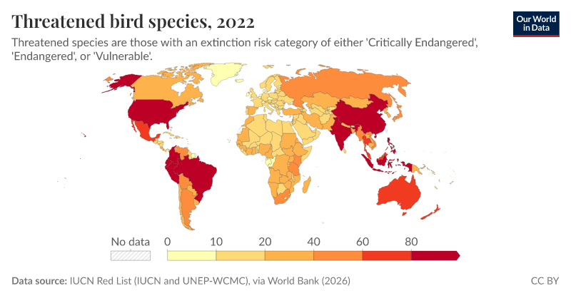 Number of Bird Species in the World: Discover Amazing Diversity Today