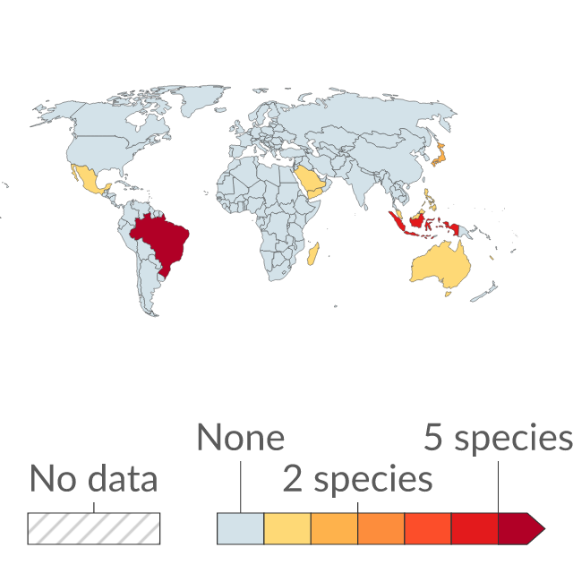 Data visualization: Threatened endemic reef-forming coral species