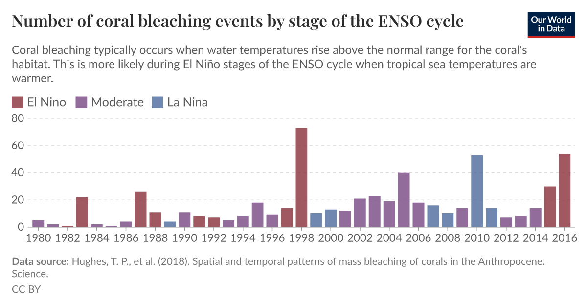 Number of coral bleaching events by stage of the ENSO cycle Our World