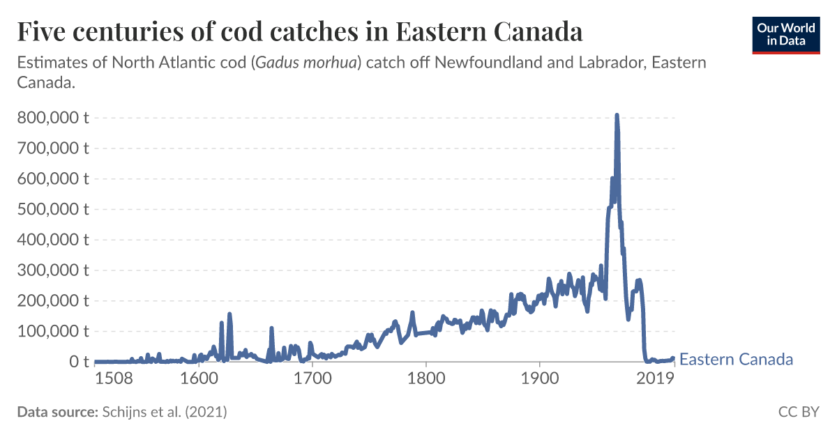 Five centuries of cod catches in Eastern Canada - Our World in Data