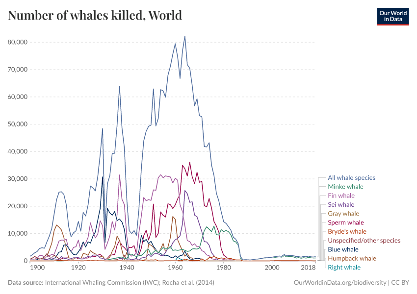 A thumbnail of the "Number of whales killed" chart