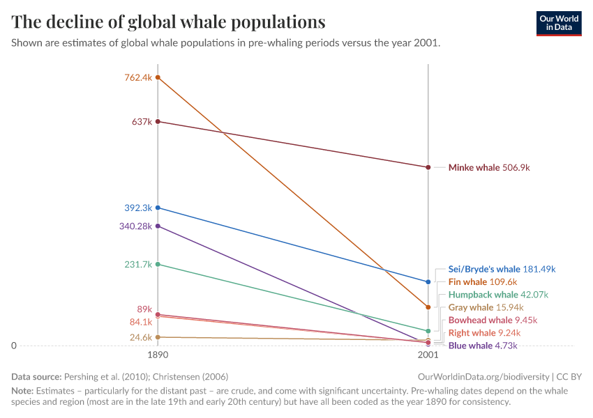 The decline of global whale populations