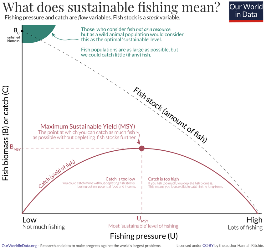 Maximum sustainable yield of fish with addition 850