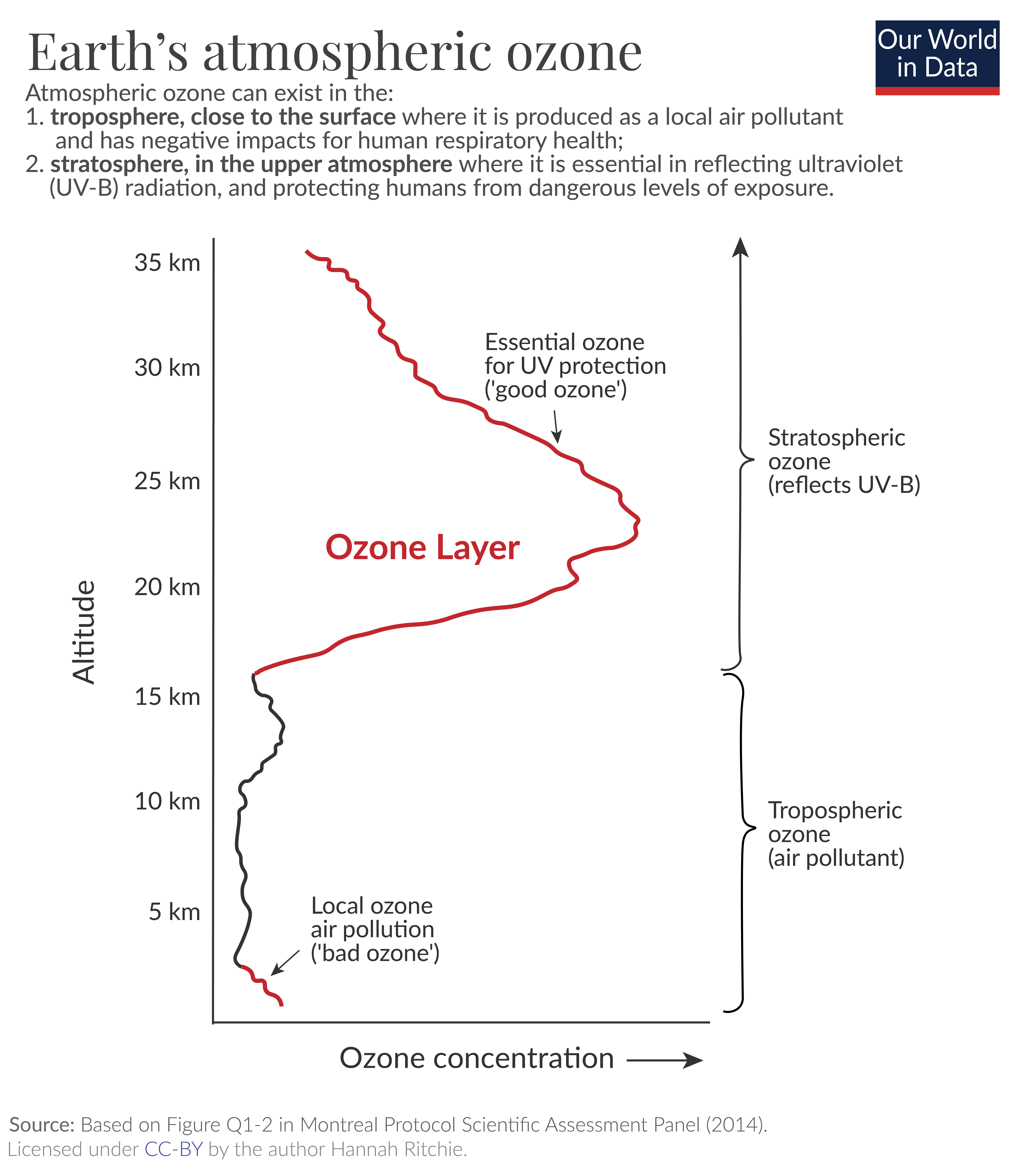 define ozone layer essay