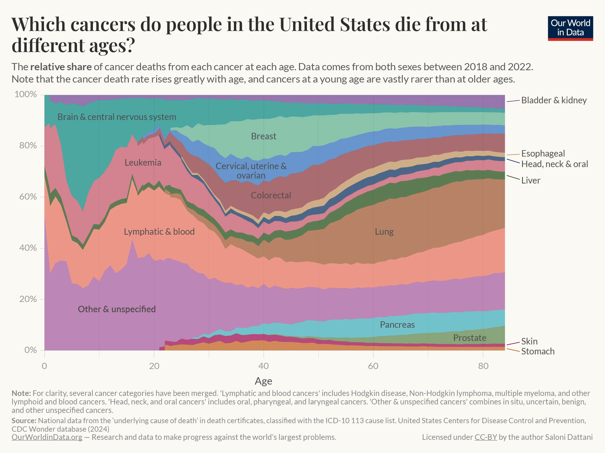 This chart, titled "Which cancers do people in the United States die from at different ages?", illustrates the relative share of cancer deaths from various types of cancer at each single-age group, between 2018 and 2022, for both sexes. It uses data from death certificates classified by ICD-10 codes, with the percentage of deaths on the y-axis and age on the x-axis.

Key overall trends:

In younger ages, brain and central nervous system cancers, leukemia, and lymphatic/blood cancers account for a larger proportion of cancer deaths.
As age increases, the proportion of lung cancer deaths rises dramatically, becoming the dominant cause by age 60 and above.
Breast cancer and colorectal cancer represent a notable share of cancer deaths in middle-aged individuals.
This chart is authored by Saloni Dattani and published on "Our World in Data," with data sourced from the United States Centers for Disease Control and Prevention (CDC), Wonder database (2024). The chart is licensed under CC-BY.