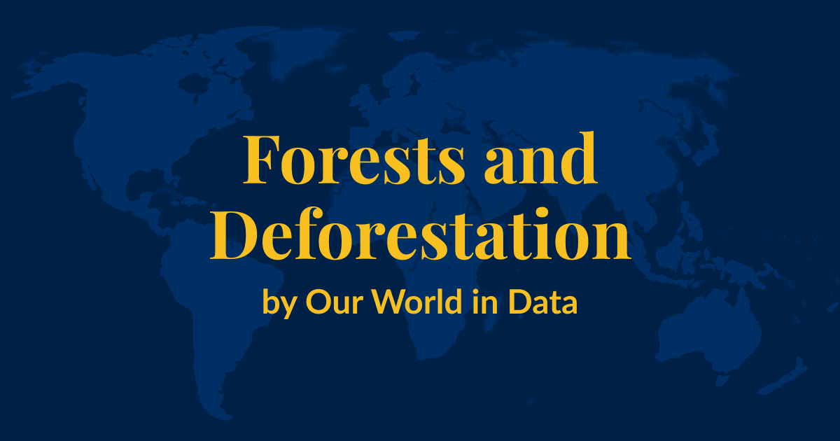 A dark blue background with a lighter blue world map superimposed over it. Yellow text that says Forests and Deforestation by Our World in Data