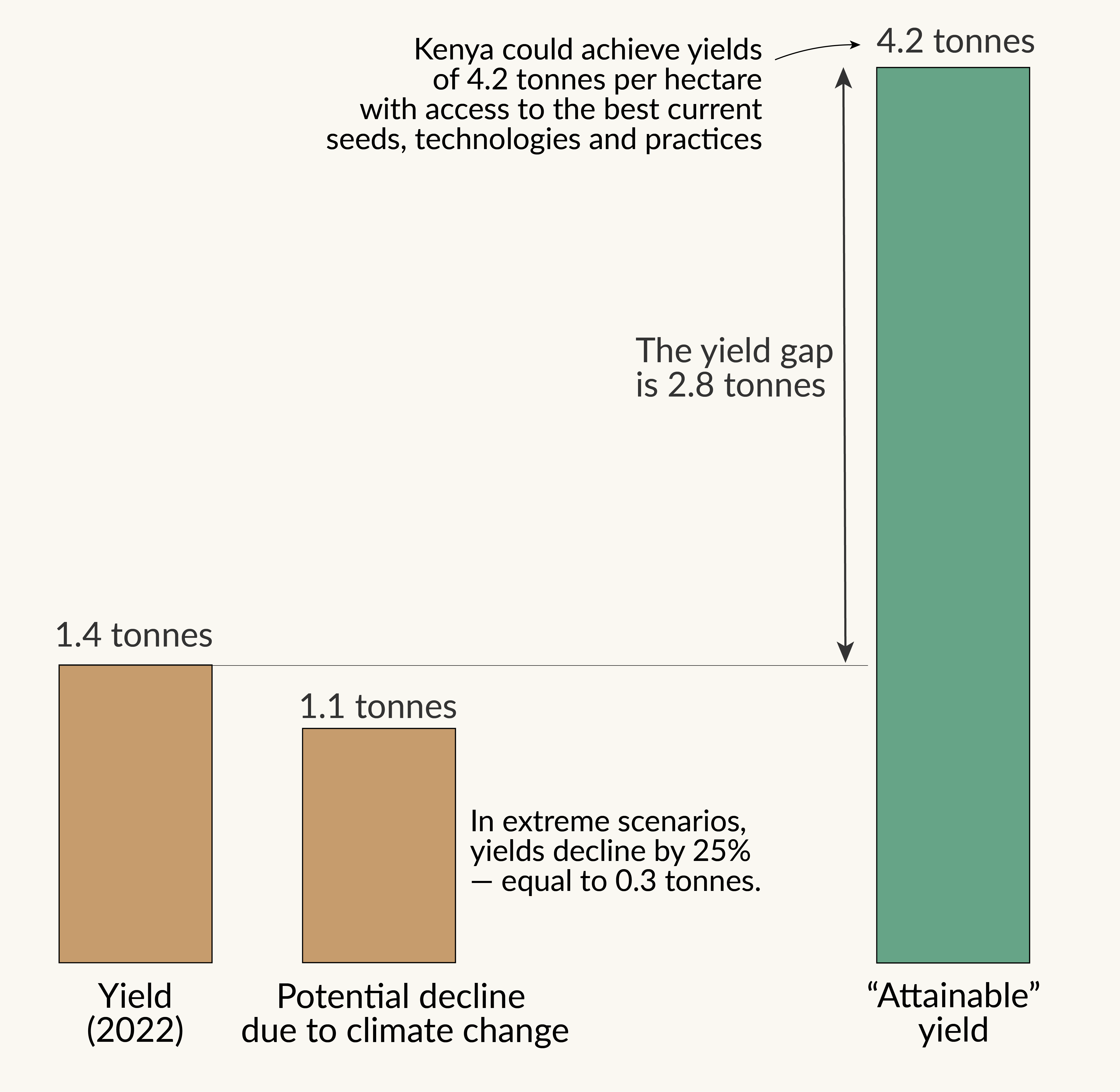 Bar chart showing current maize yield in Kenya; what they could be with best practices and technologies, and what the impact of climate change on yields could be in the future.

The current yield gap (2.8 tonnes) is far larger than the potential decline due to climate change (0.3 tonnes).