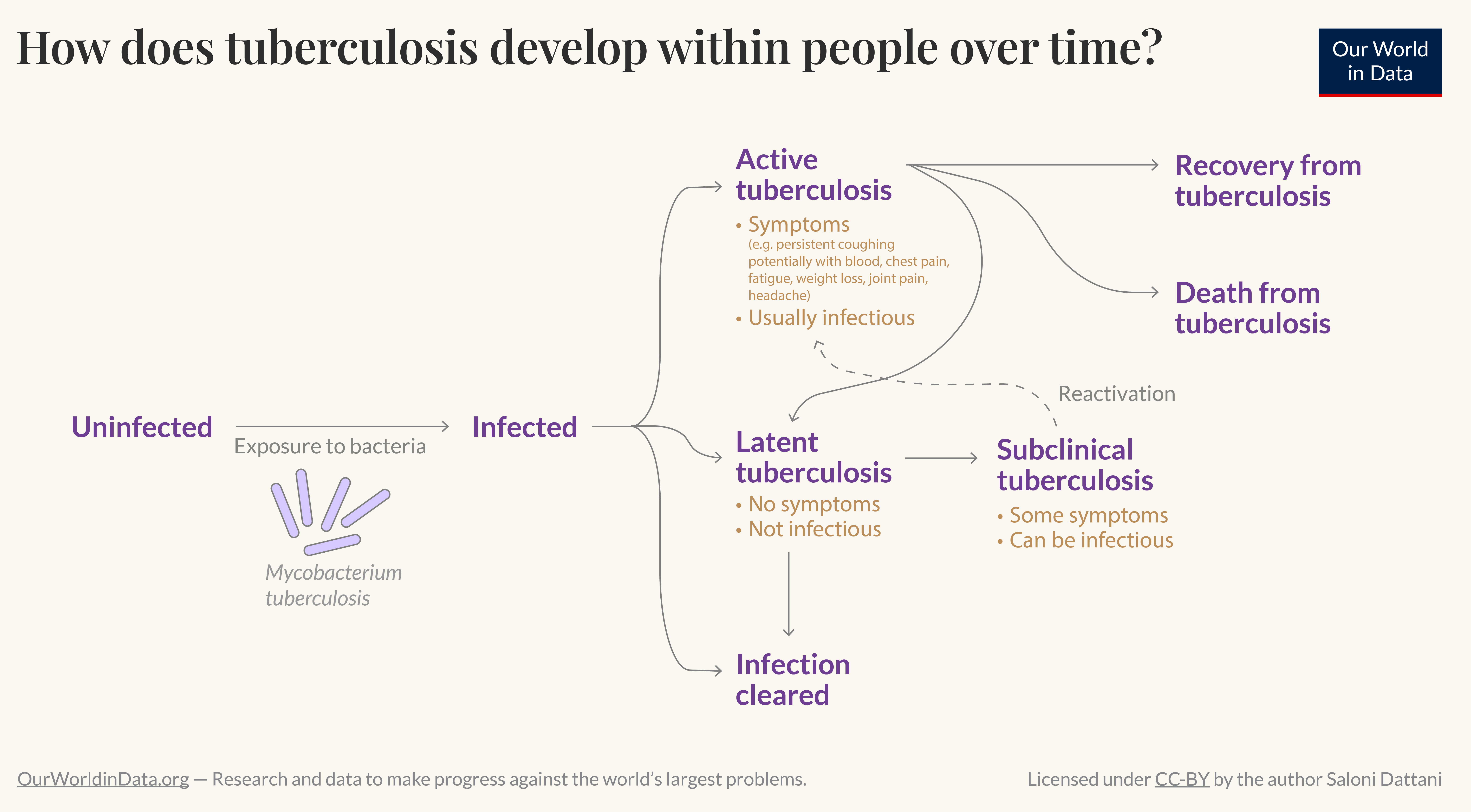 Flowchart showing natural history of tuberculosis in individuals