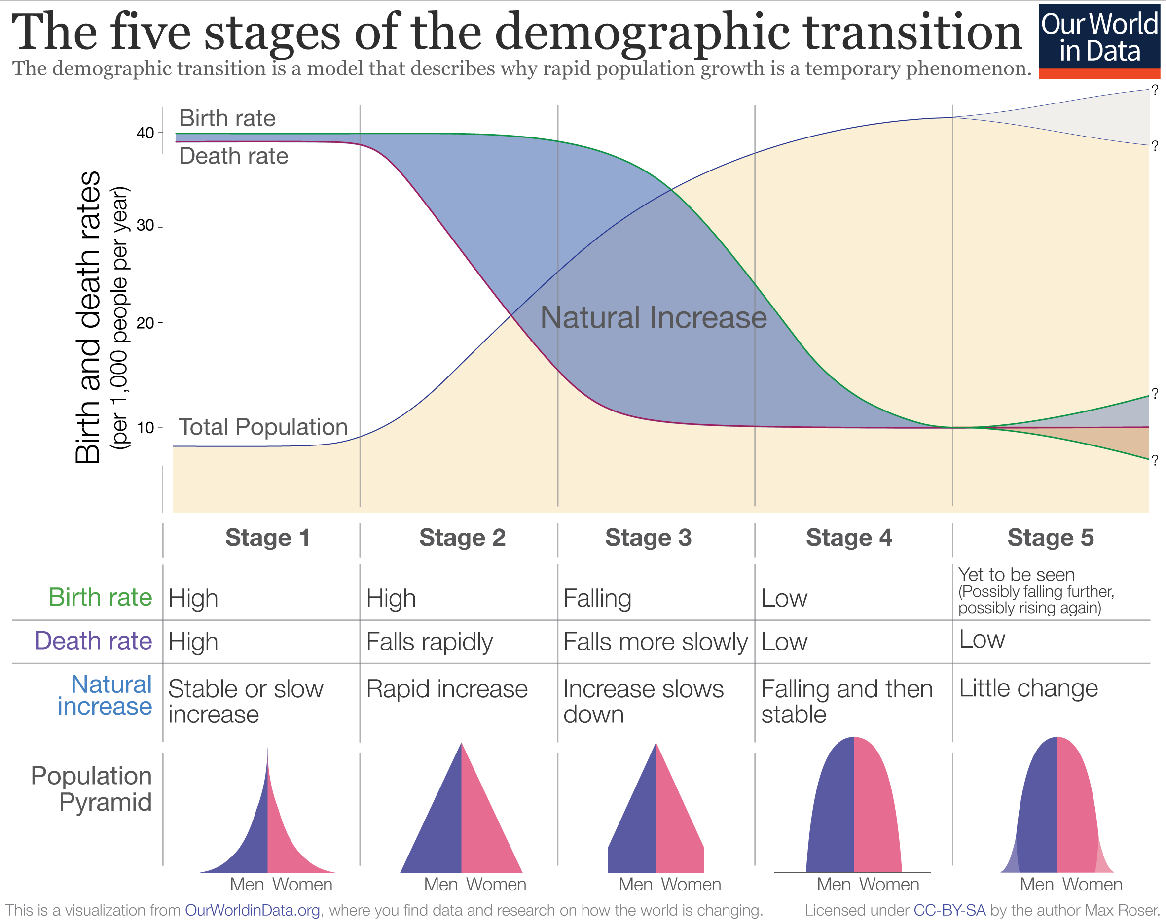at what stages of the demographic transition are the birth rates and death rates about the same?