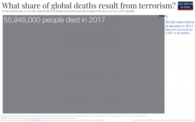 What share of deaths are from terrorism