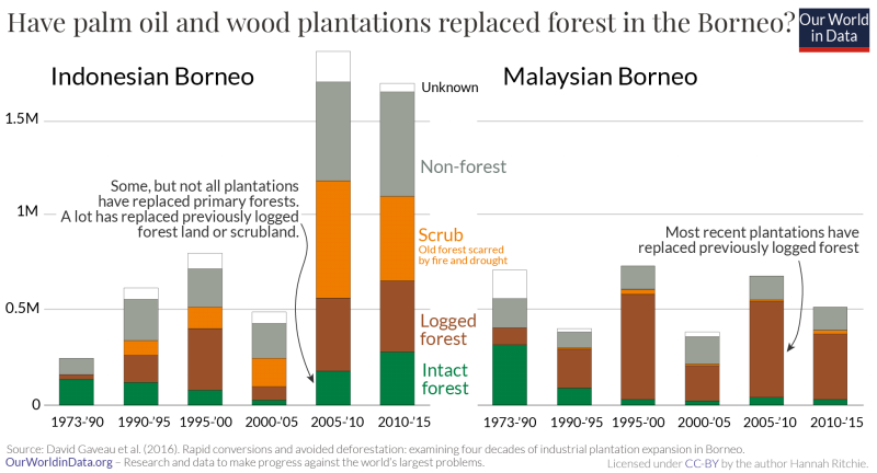 Land expansion of palm oil in borneo
