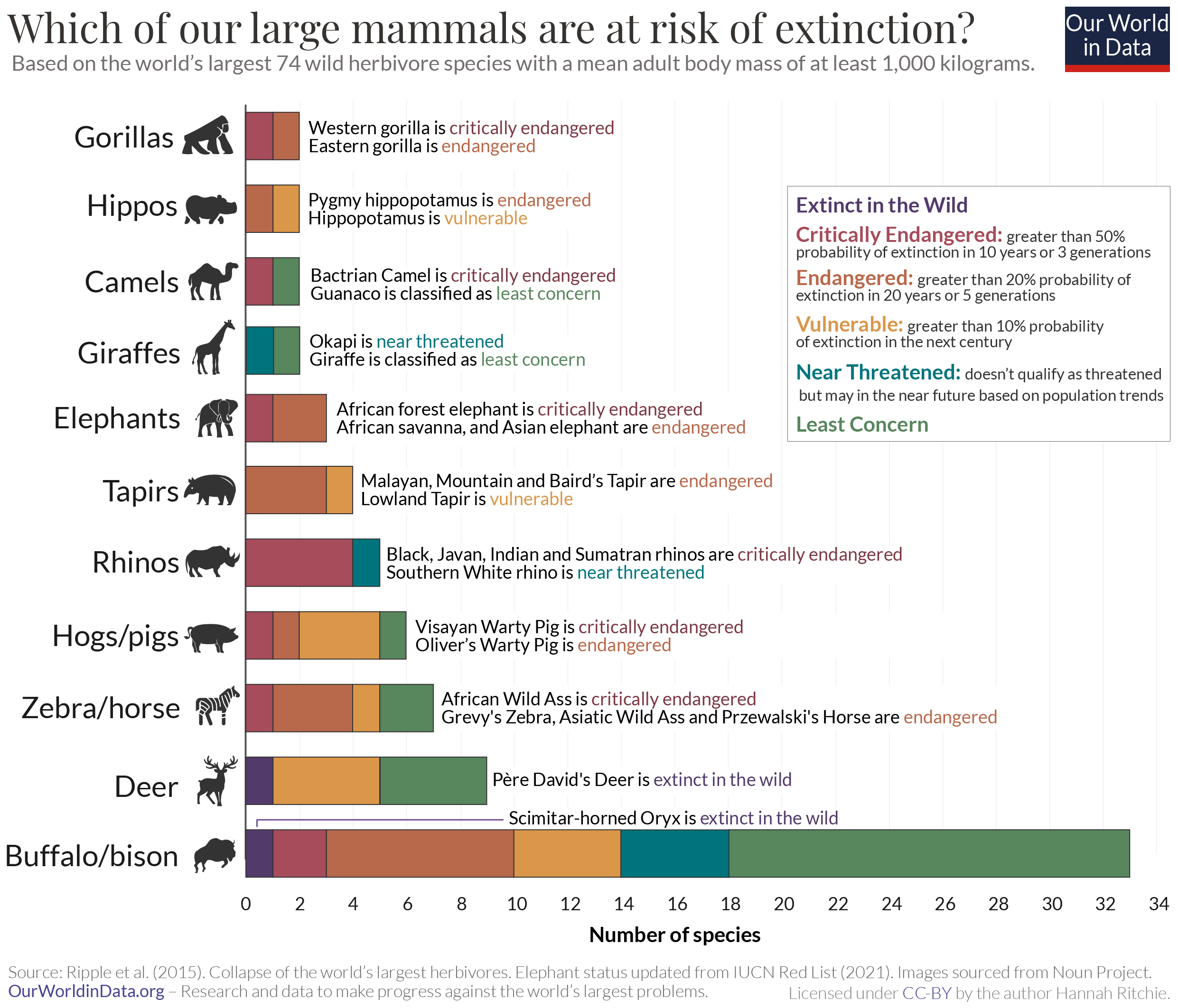 Which of our large mammals are at risk of extinction