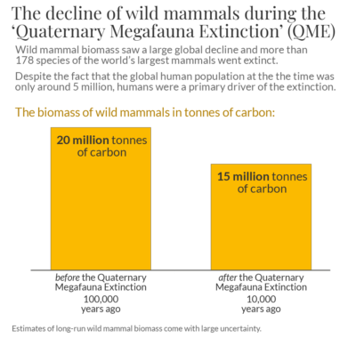 Wild mammal biomass qme