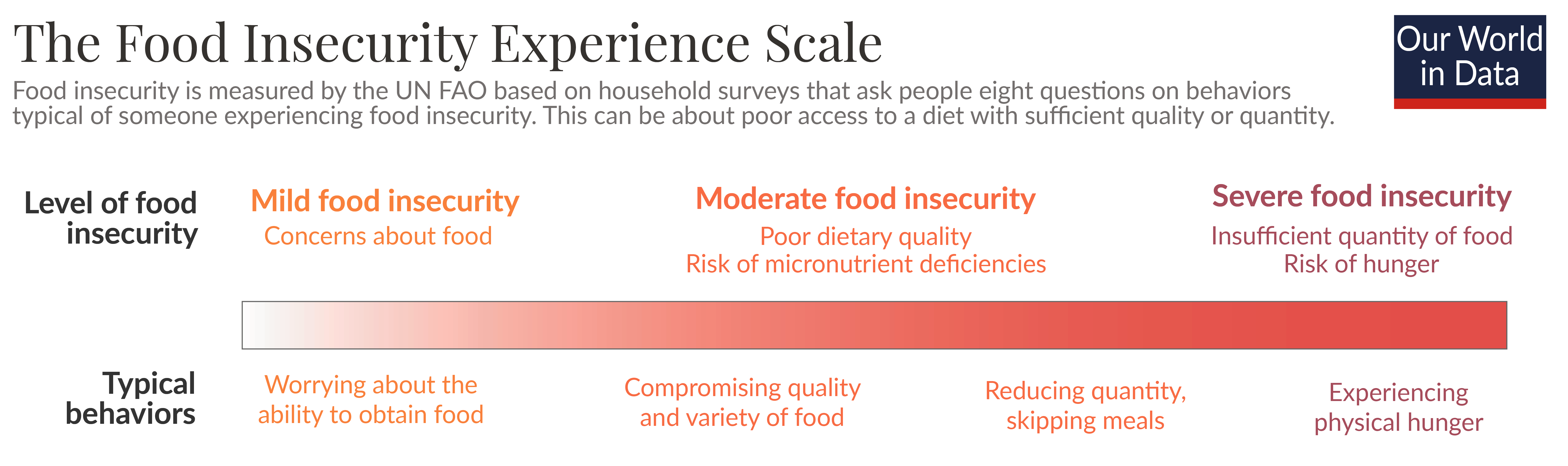 Food insecurity scale